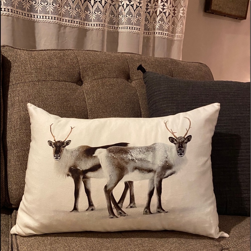 BEAUTIFUL Reindeer pillow 🦌 ❤️